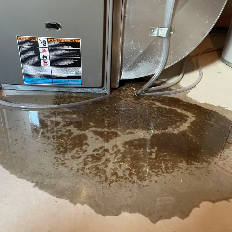 Appliance Leak Cleanup in Kenwood, OK